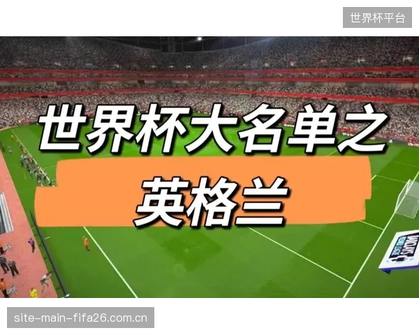 西班牙中场遭遇重创，费尔明·洛佩斯因伤无缘世界杯大名单。
